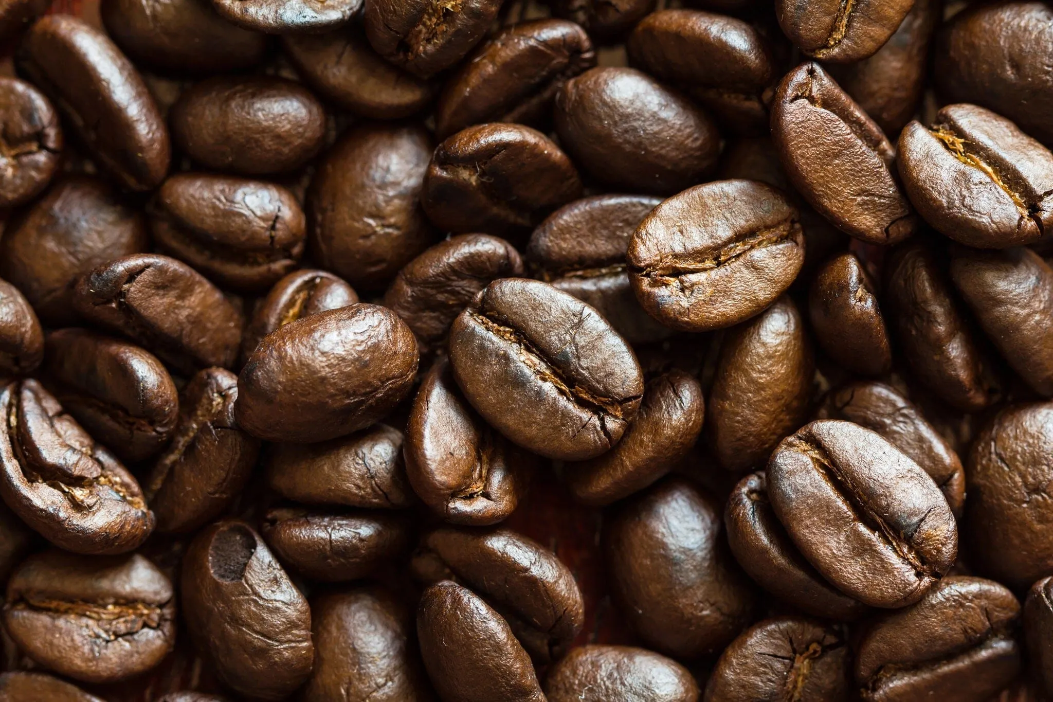 Arabica Coffee Beans Wall Mural