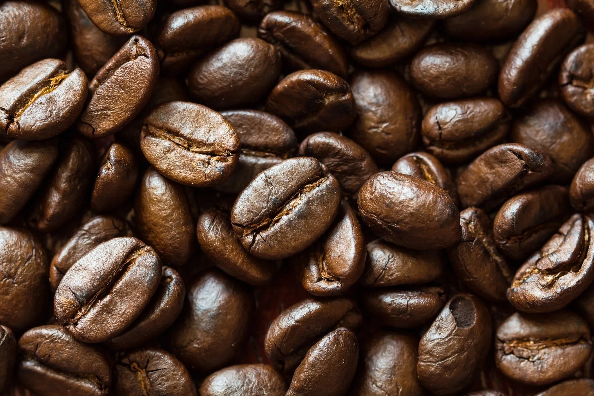 Arabica Coffee Beans Wall Mural