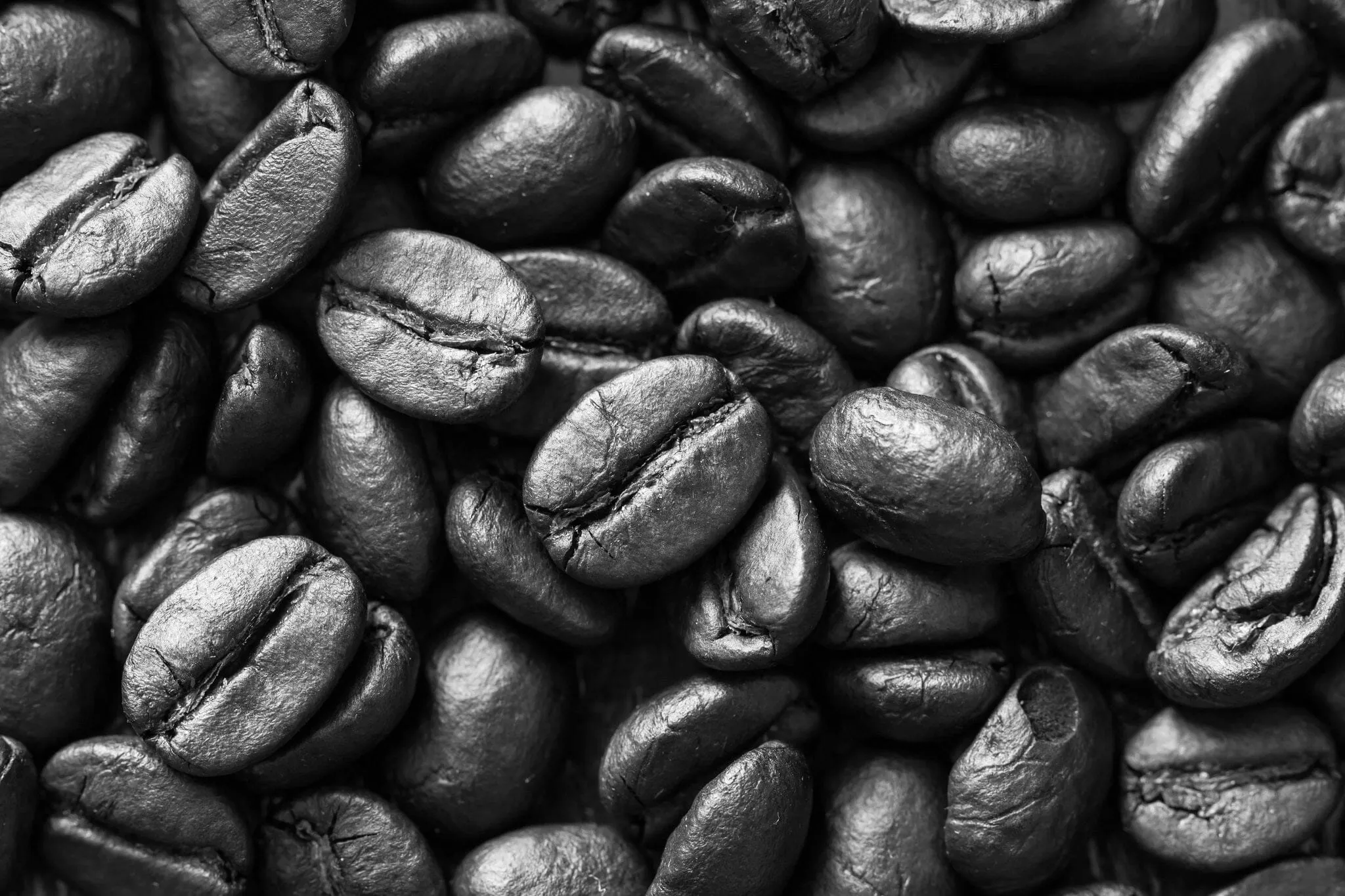 Arabica Coffee Beans Wall Mural