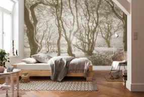 Bleached Birch Mural Wallpaper