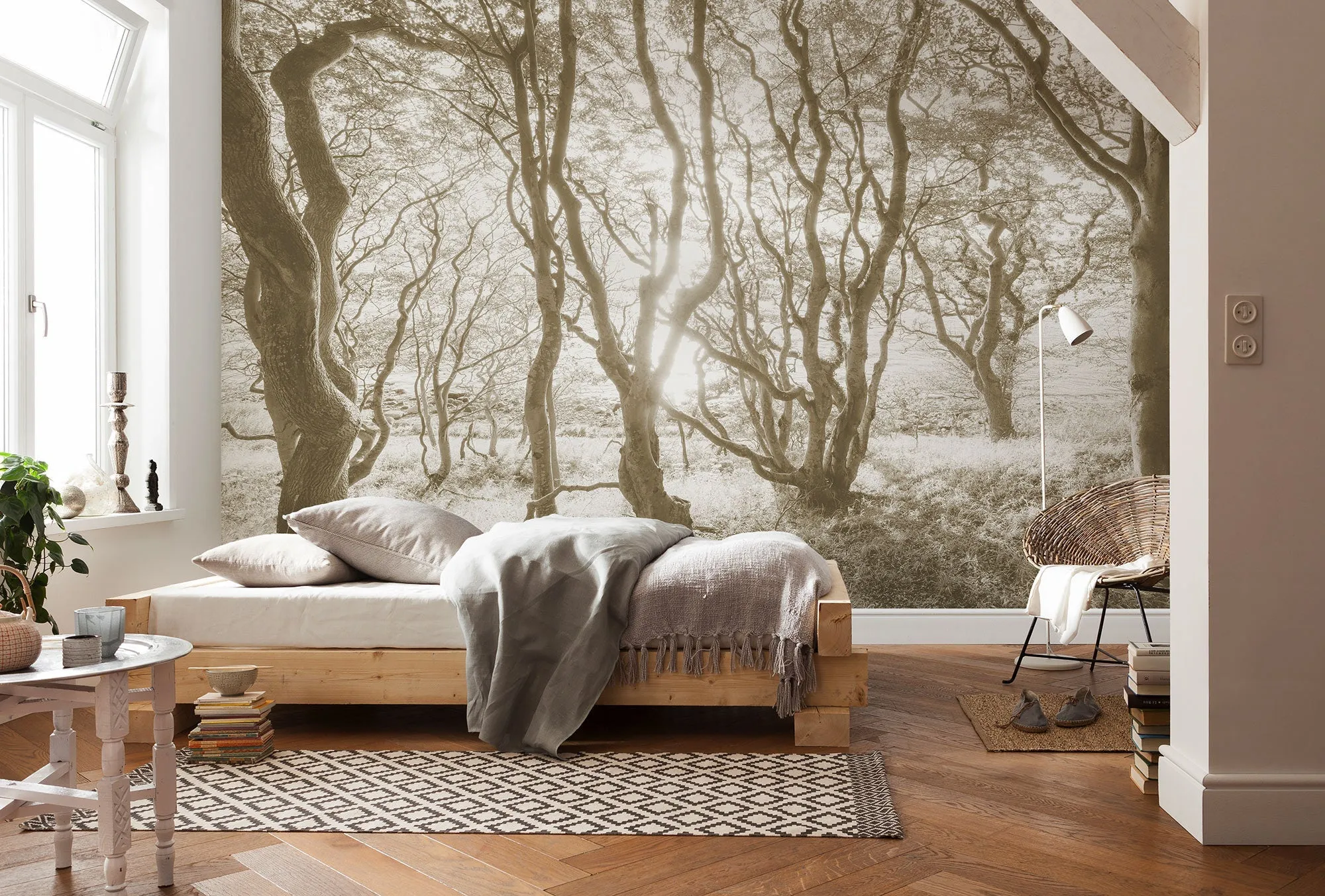 Bleached Birch Mural Wallpaper