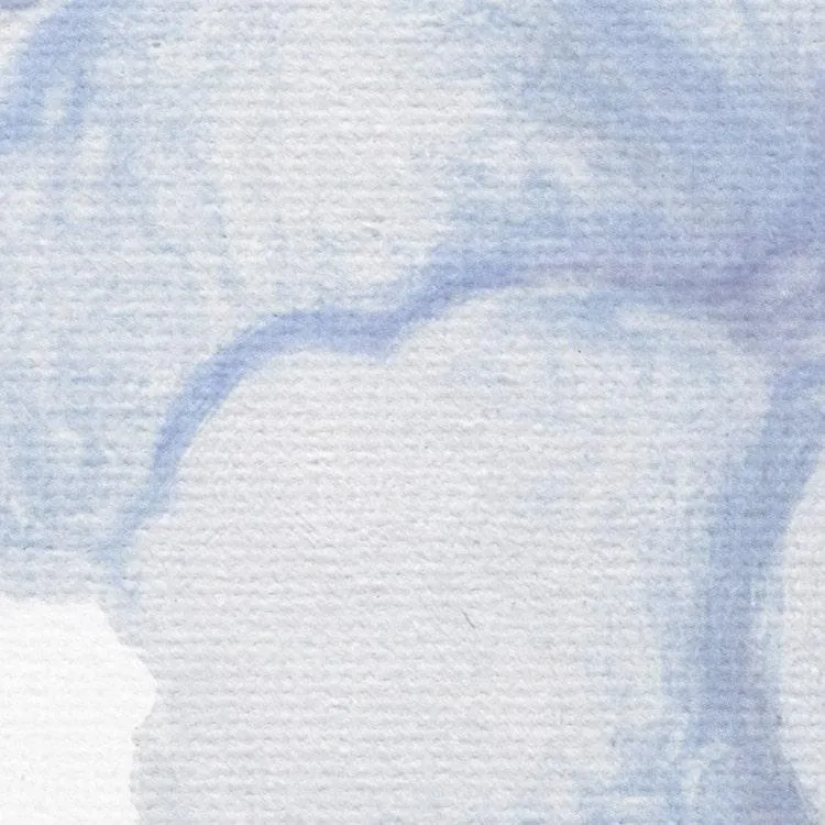 Bleu Ciel Mural Wallpaper