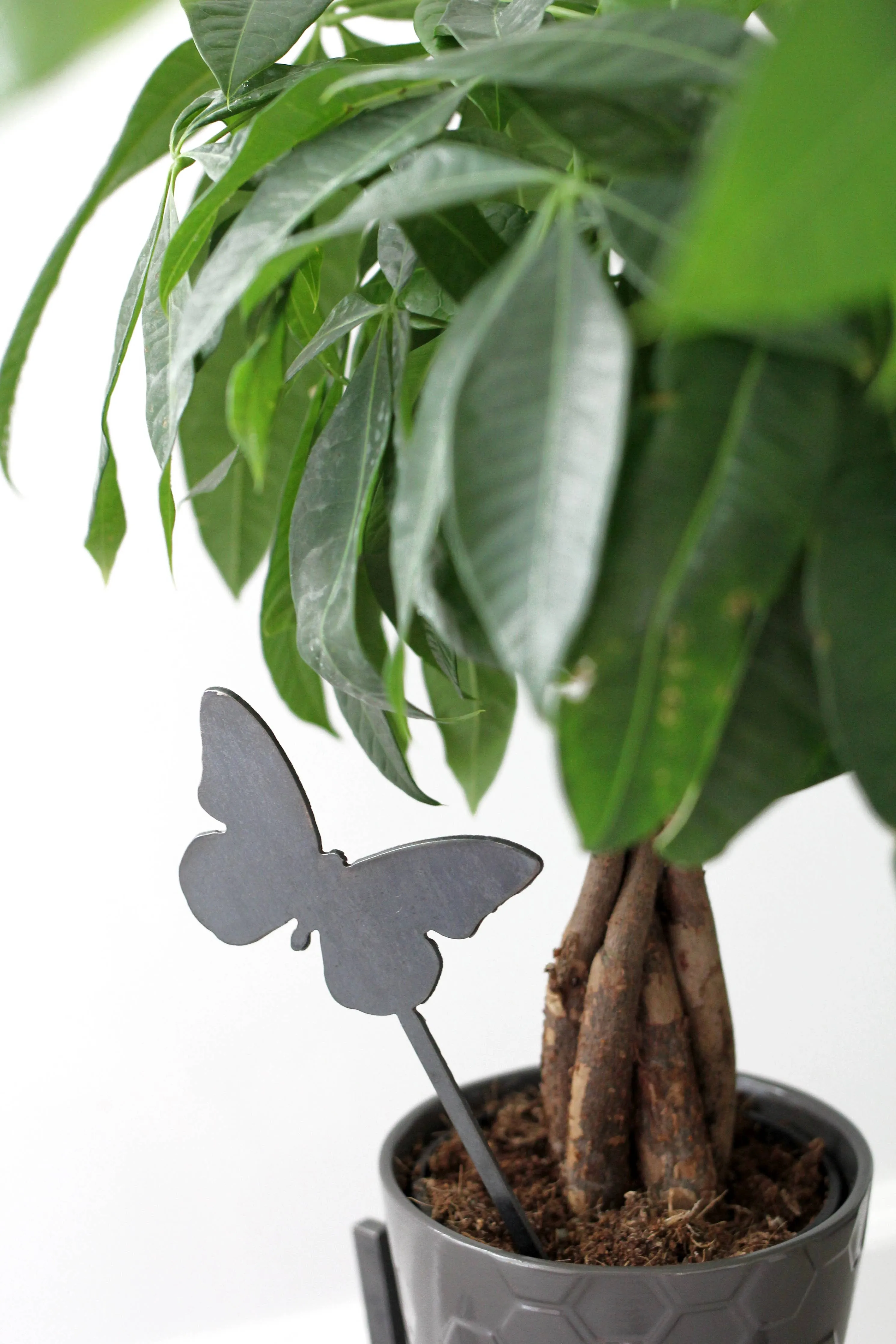 Butterfly Plant Stake
