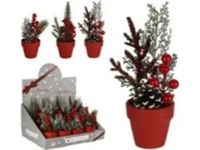 Christmas Plant in Red Pot with Berries | 15cm