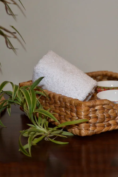 Dharini Water Hyacinth Napkin Holder