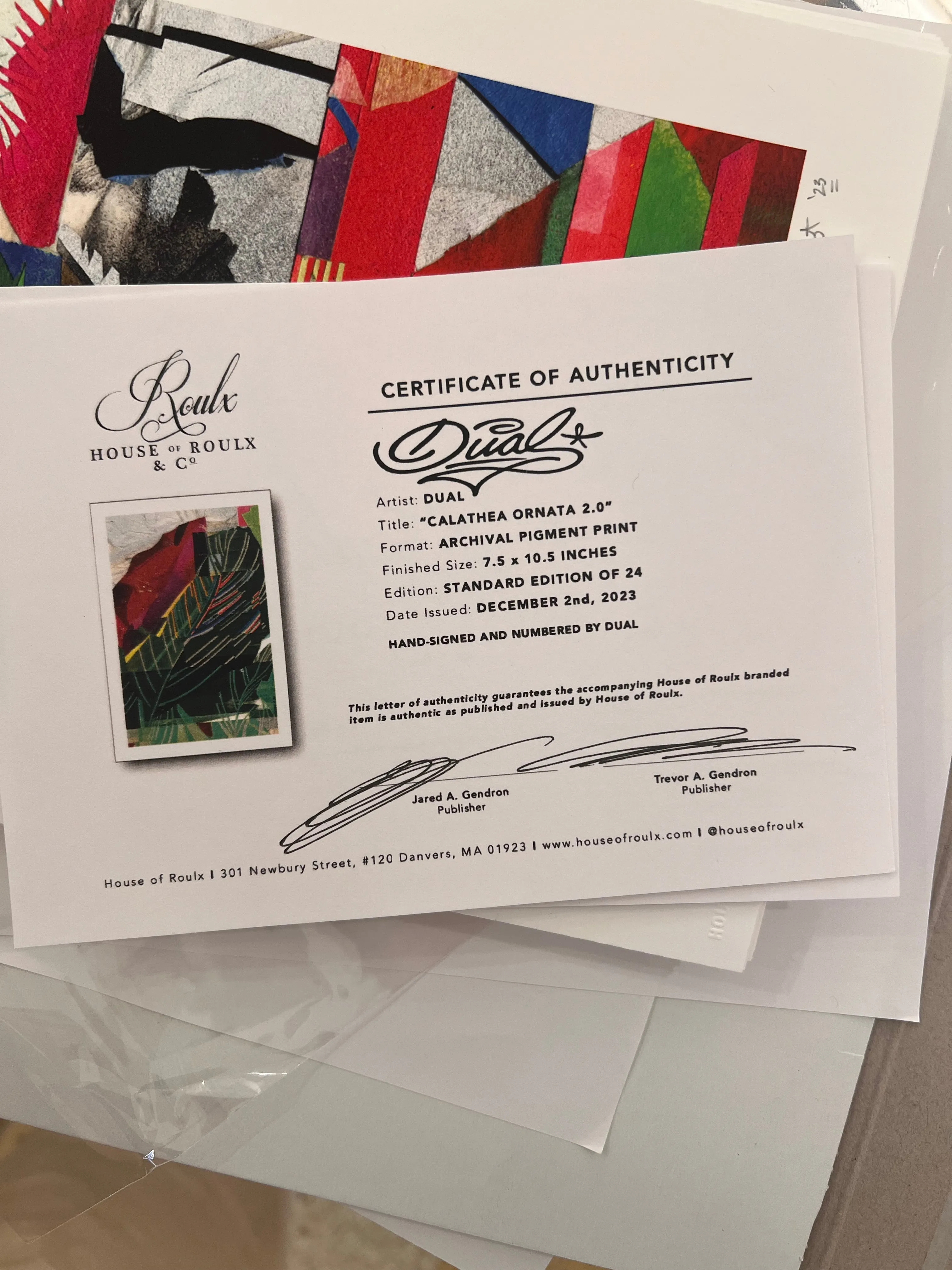 DUAL Print - "Calathea Ornata 2.0" - Edition of 24