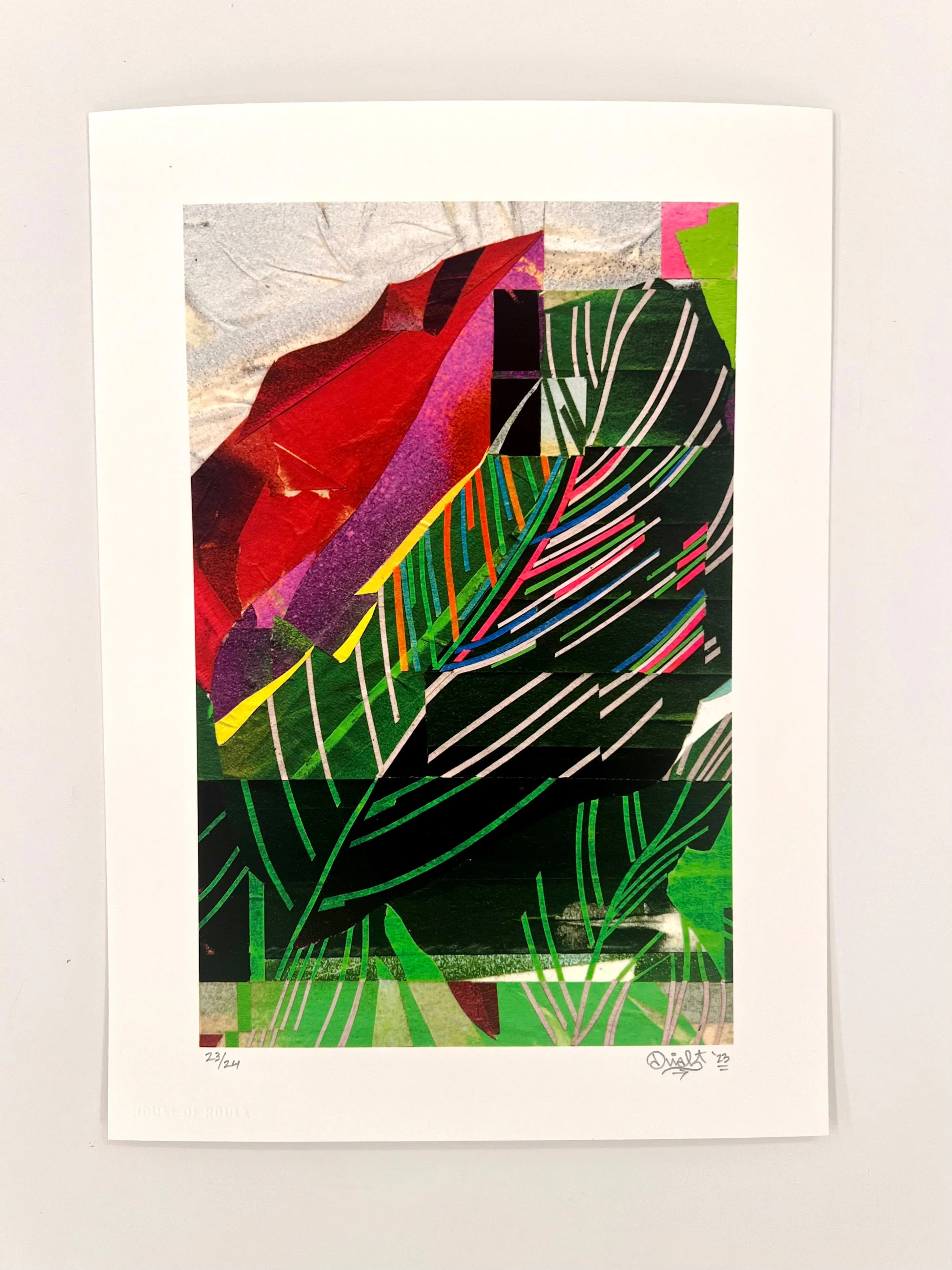 DUAL Print - "Calathea Ornata 2.0" - Edition of 24