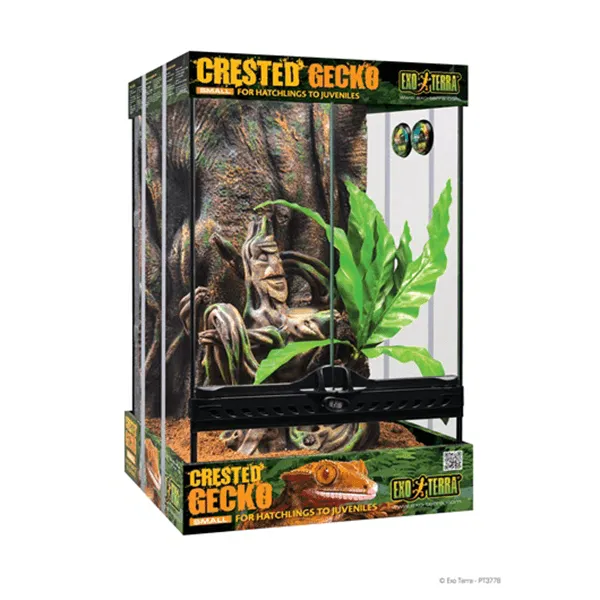 Exo Terra Small Crested Gecko Habitat Kit - 12" x 12" x  17.7"