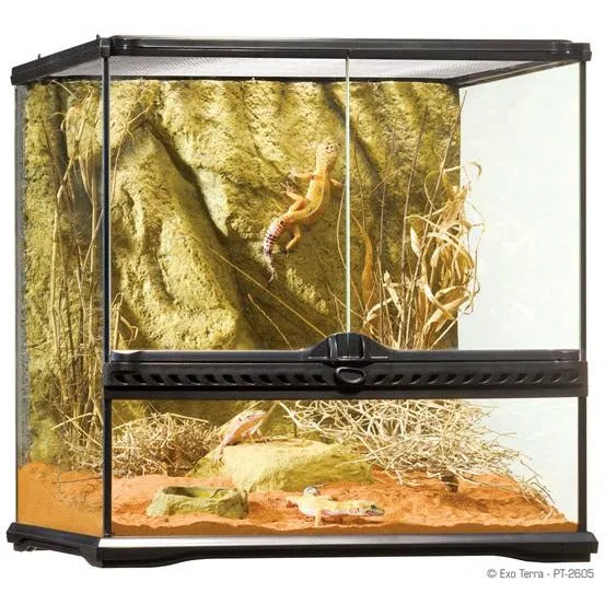 Exo Terra Small Wide Terrarium