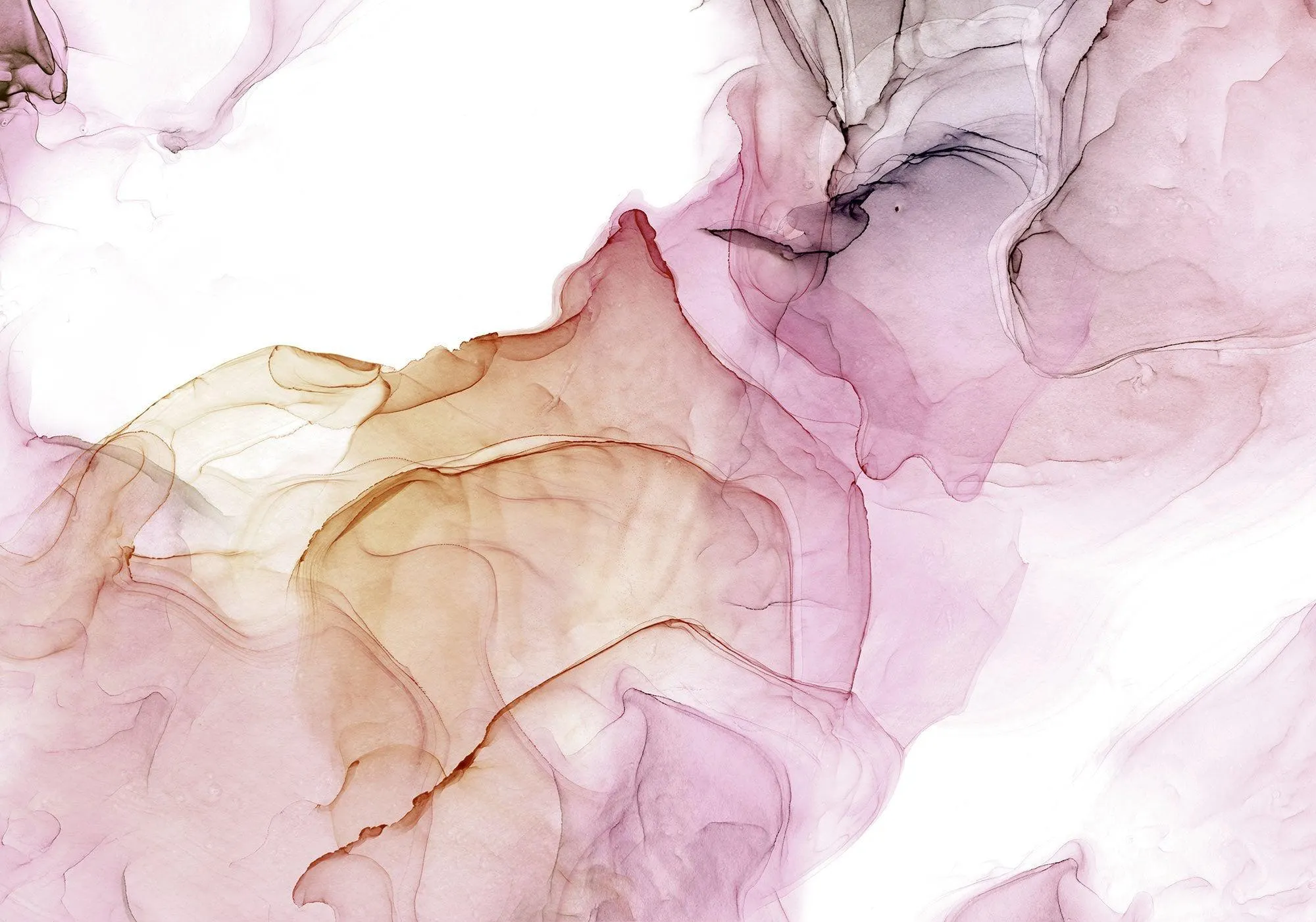 Flow in Rose Mural Wallpaper