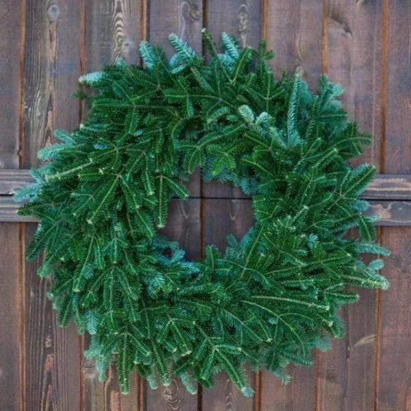Fraser Fir Wreath (Undecorated)