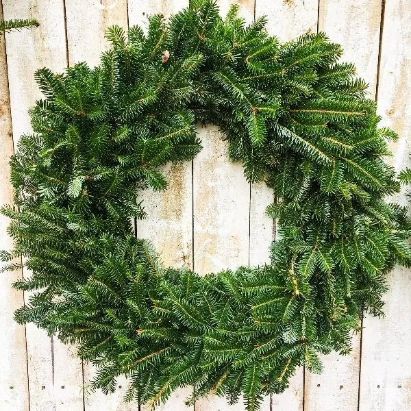 Fraser Fir Wreath (Undecorated)