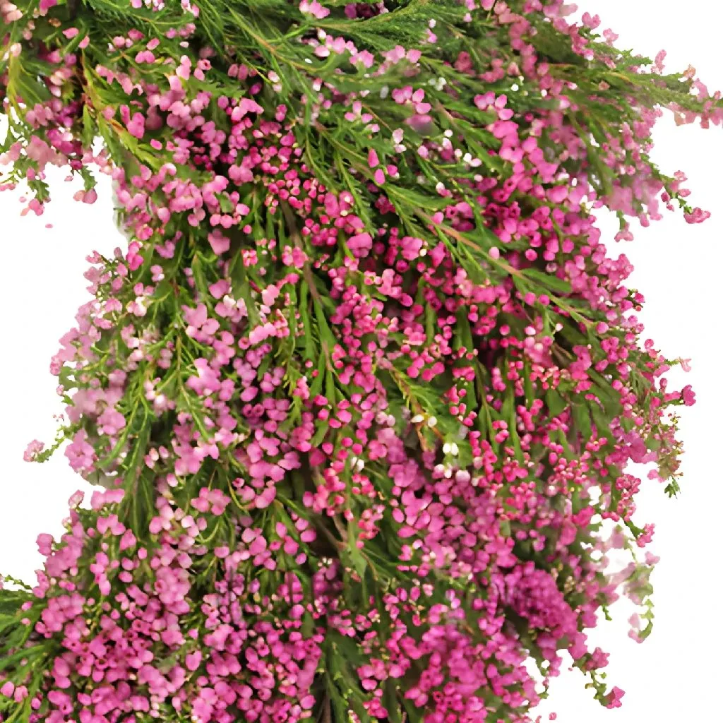 Fresh Heather Wreaths