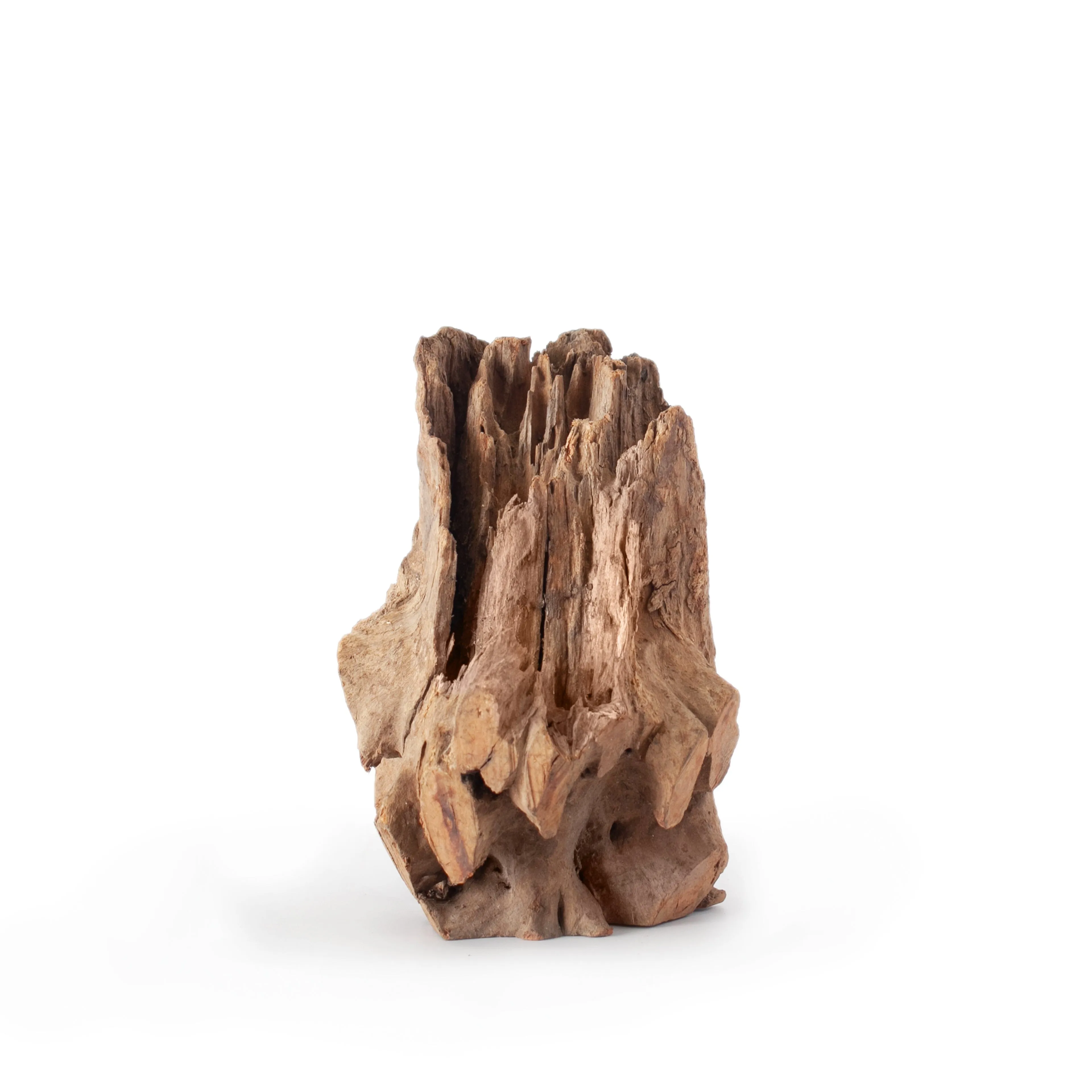 Galapagos Natural Eucalyptus Hollow Log Hide - 6-8 in