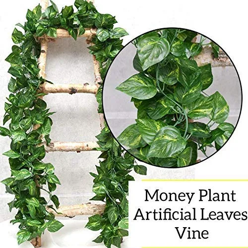 Go Hooked (Pack of 24 Creepers Artificial Garland Money Plant Leaf Creepers for Home Decoration, Party Décor (24 Creepers, 30 Leaves in 1 Creeper, 6 Foot Each), 10 Mm