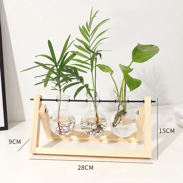 Hydroponic Wooden Frame Plant Terrariums