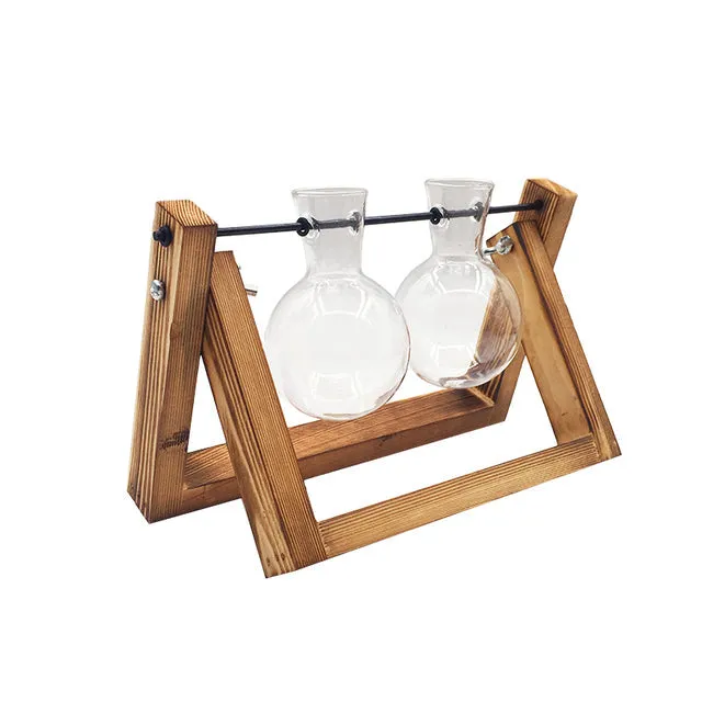 Hydroponic Wooden Frame Plant Terrariums