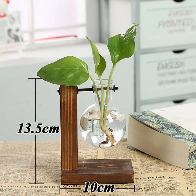 Hydroponic Wooden Frame Plant Terrariums
