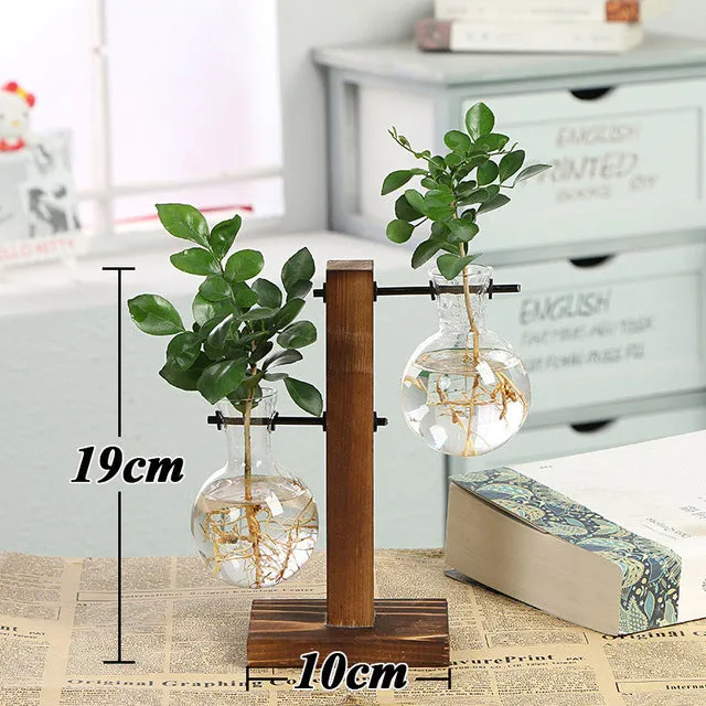 Hydroponic Wooden Frame Plant Terrariums