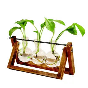 Hydroponic Wooden Frame Plant Terrariums