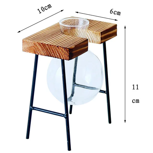 Hydroponic Wooden Frame Plant Terrariums