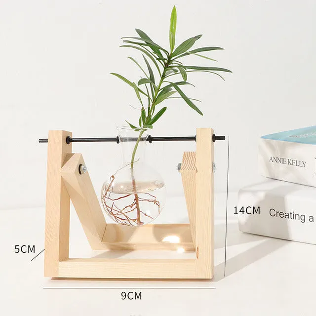 Hydroponic Wooden Frame Plant Terrariums