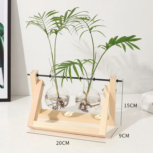 Hydroponic Wooden Frame Plant Terrariums