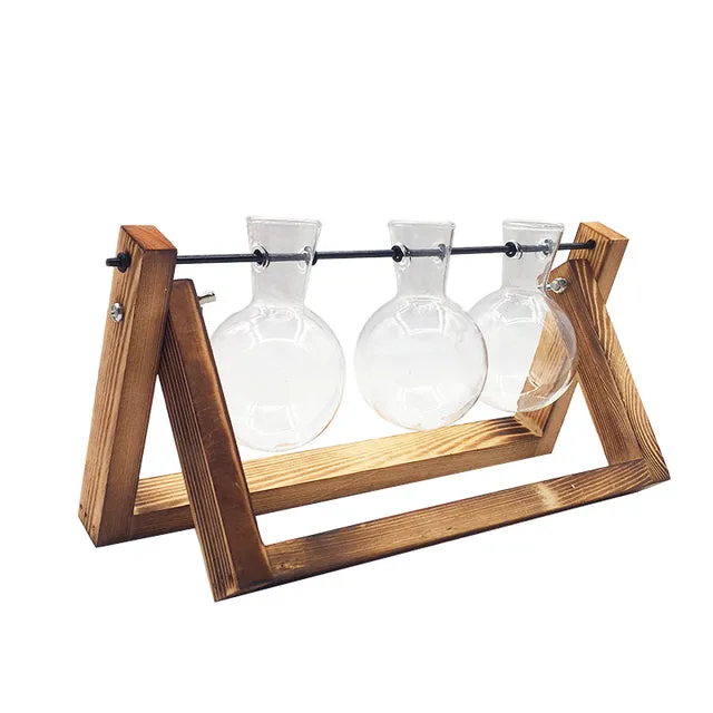 Hydroponic Wooden Frame Plant Terrariums
