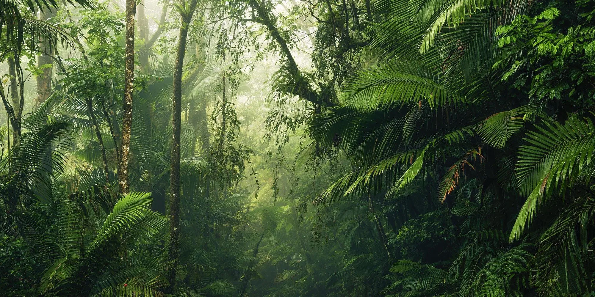Into the Wild Mural Wallpaper