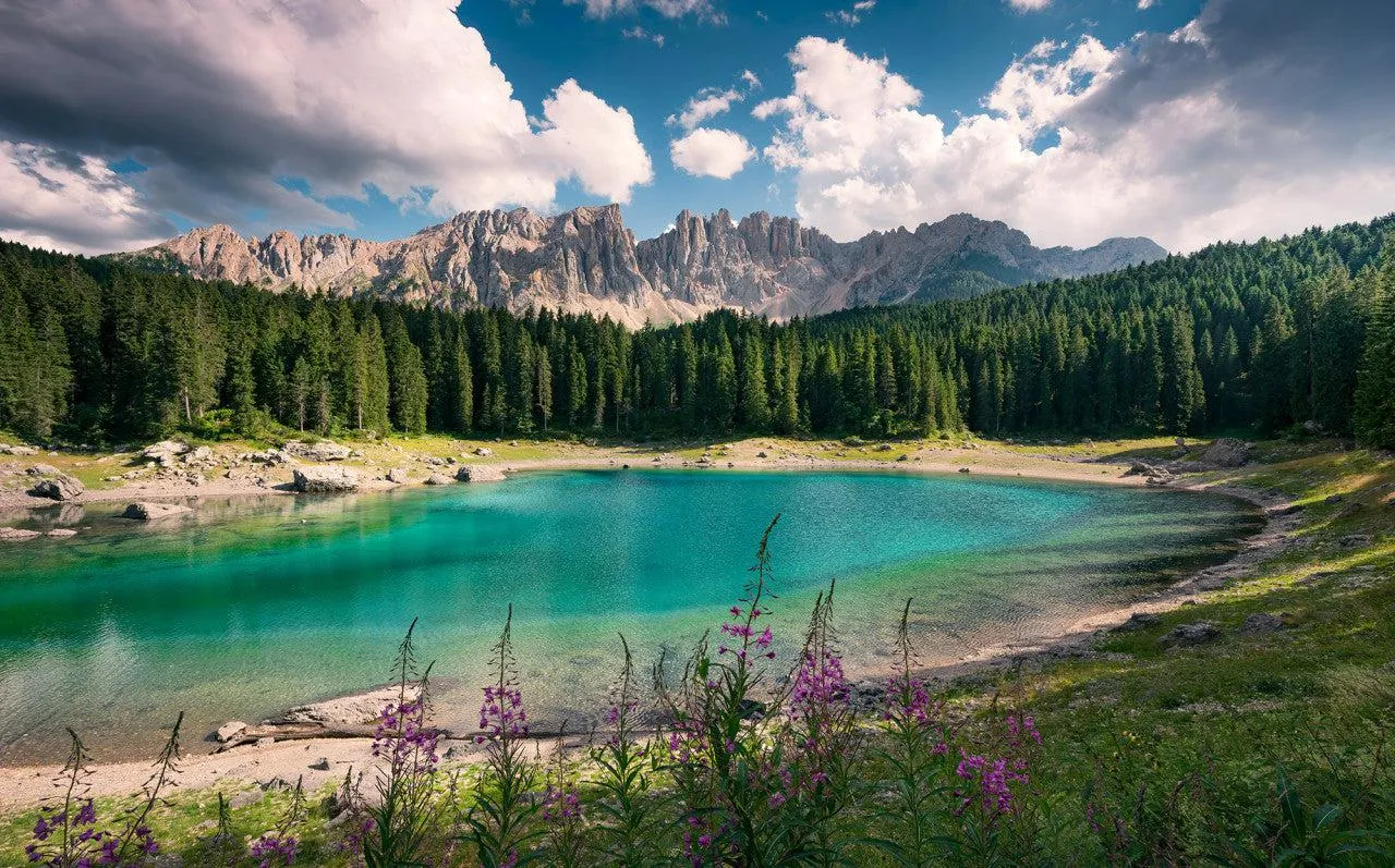 Lake Wanderer Mural Wallpaper