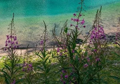 Lake Wanderer Mural Wallpaper