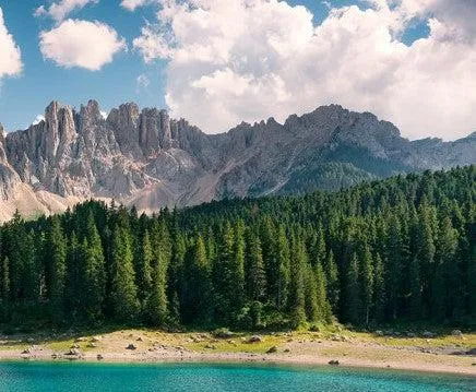 Lake Wanderer Mural Wallpaper