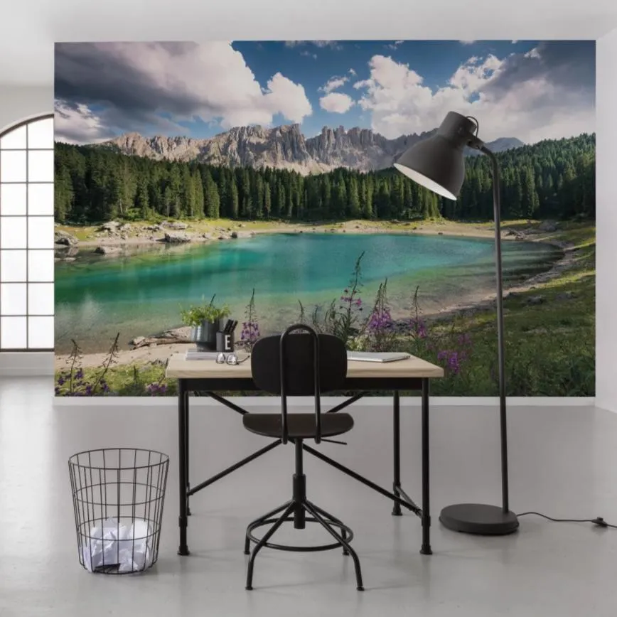 Lake Wanderer Mural Wallpaper