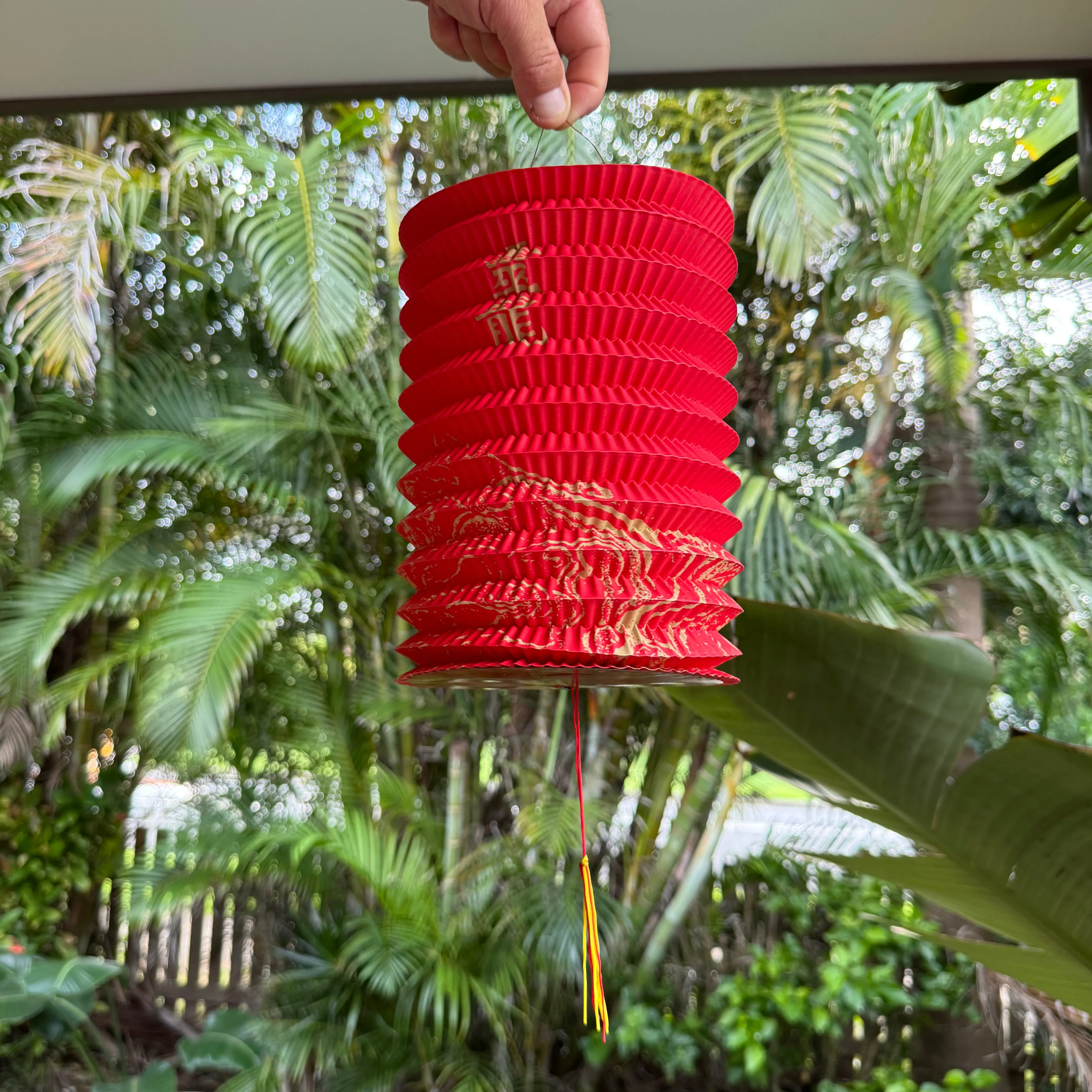 Large Red/Gold Chinese Printed Lanterns - Pack of 12
