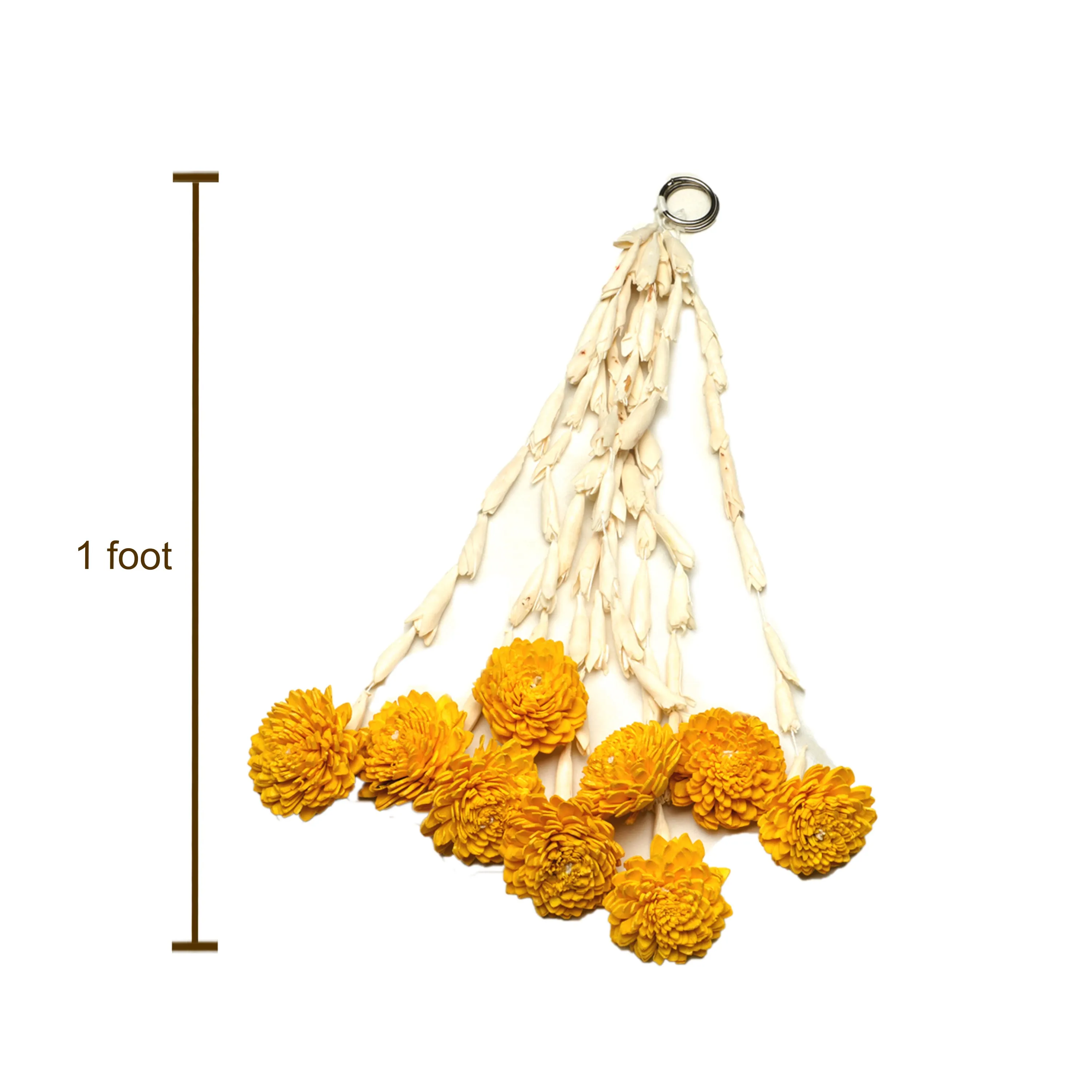 Lily Chamanthi Hanging