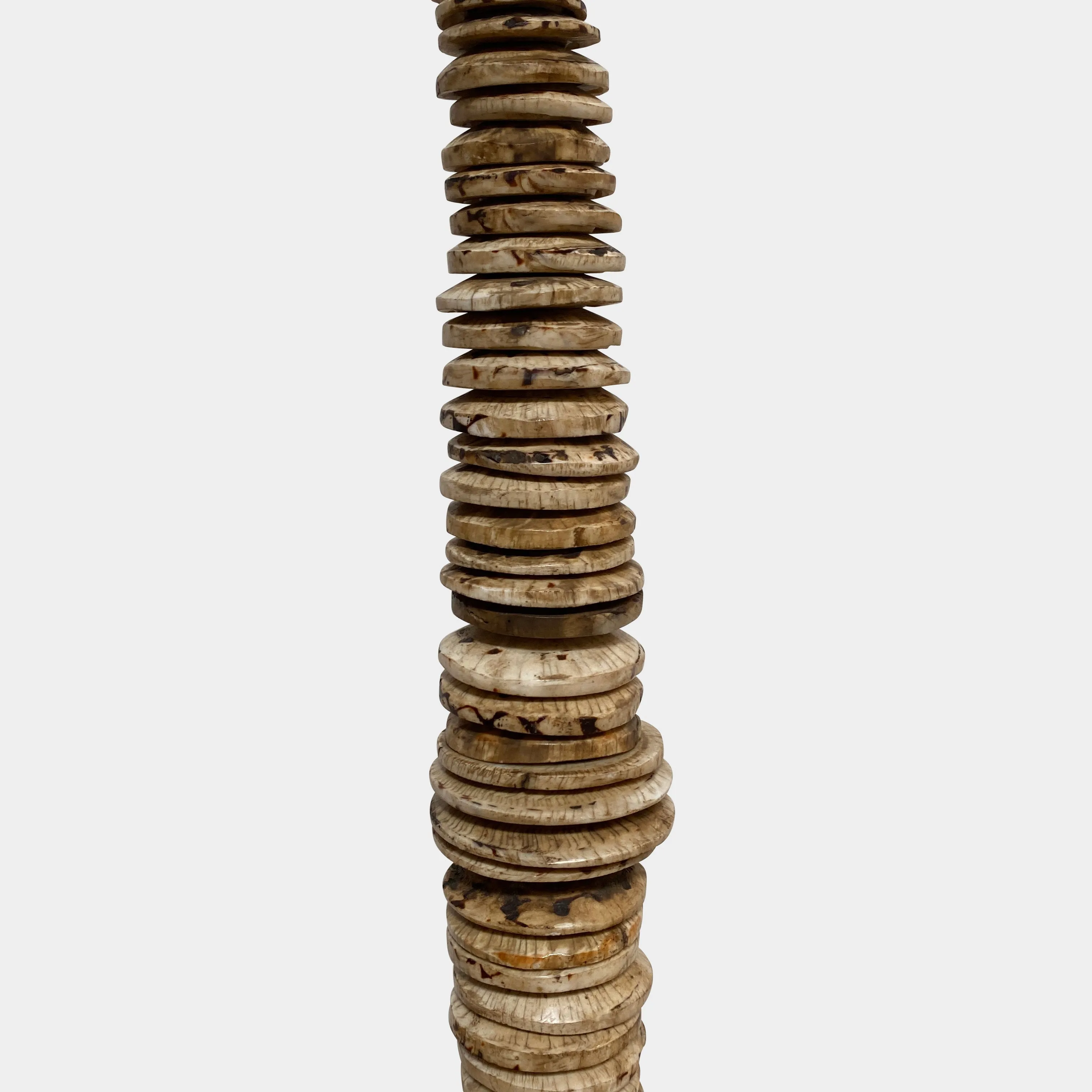 Set of Two Shell Countertop Sculptures