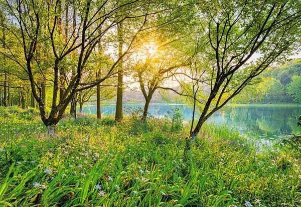Spring Lake Wall Mural Wall Mural