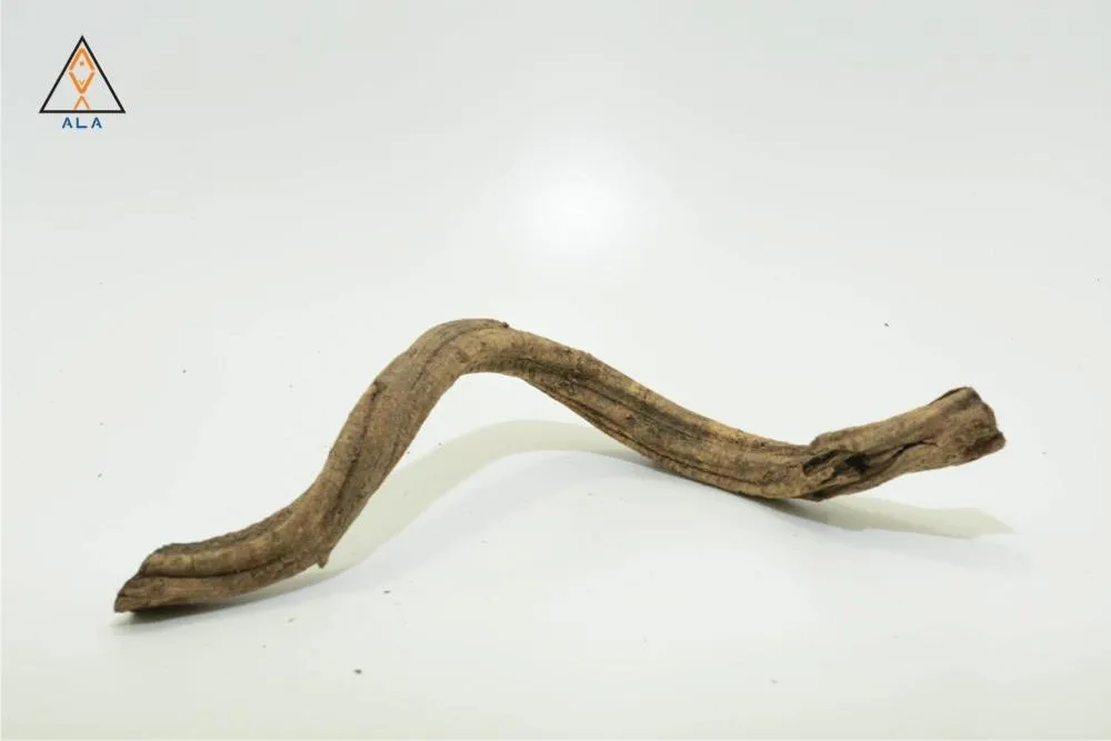 Twisty Vine - ALA