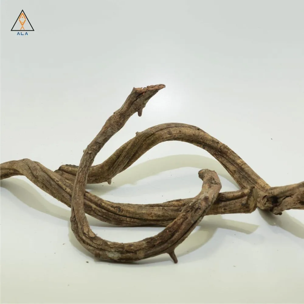 Twisty Vine - ALA