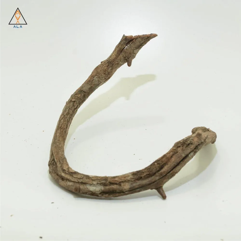 Twisty Vine - ALA